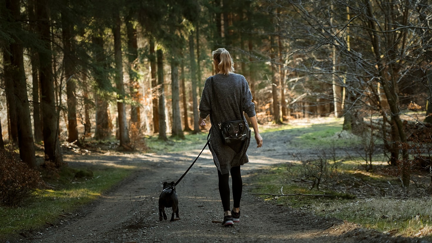 Wie Sie die beste Betreuung für Ihren Hund sicherstellen